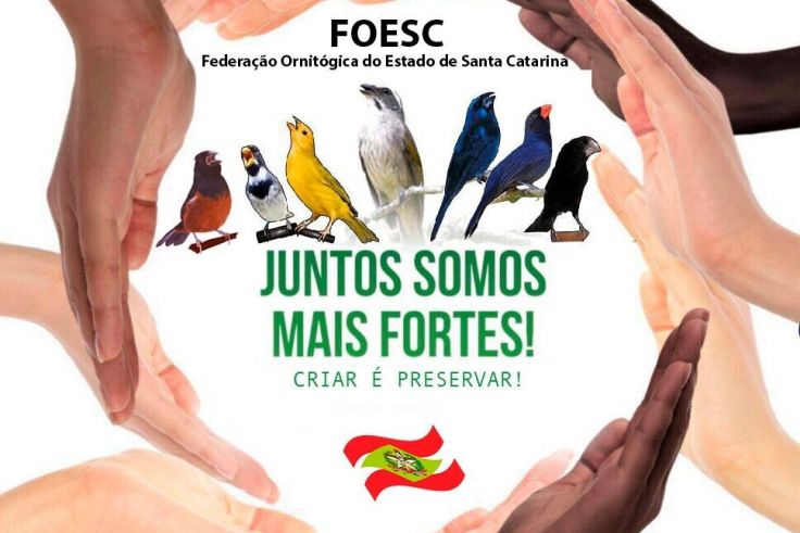 ANUIDADE ANO 2019A  ACPSI- Associação dos Criadores de pássaros Silvestres de Ituporanga, comunica a todos ao sócios que já se encontra em aberto para pagamento a taxa do IBAMA bem como  Anuidade 2019